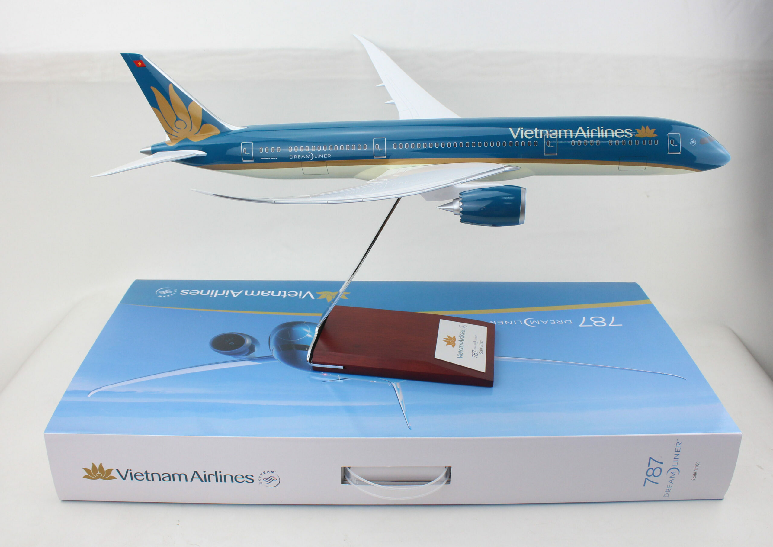 Vietnam Airlines B787-9 in 1-100 scale (3)